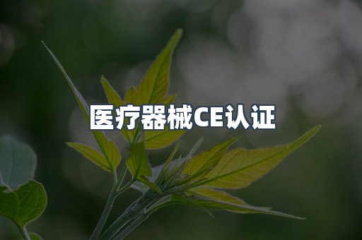 医疗器械CE认证
