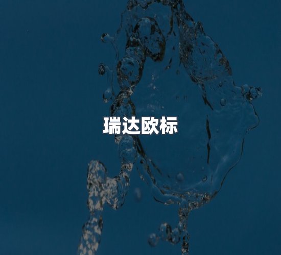 关于瑞达欧标